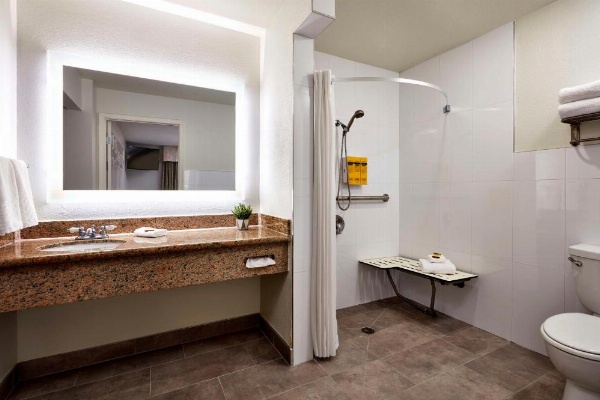 Best Western Plus Meridian Inn & Suites, Anaheim-Orange image 21
